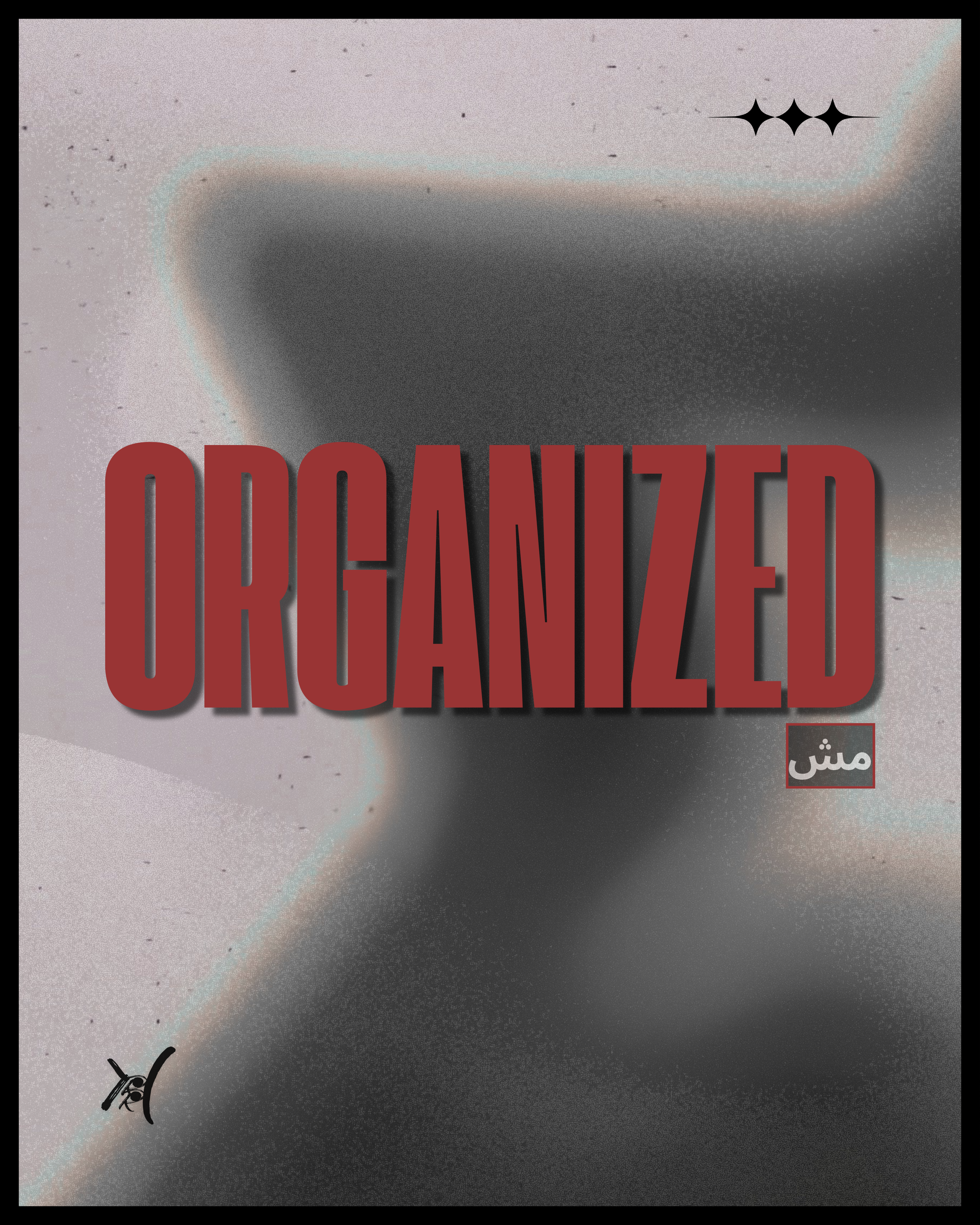 Msh Organized